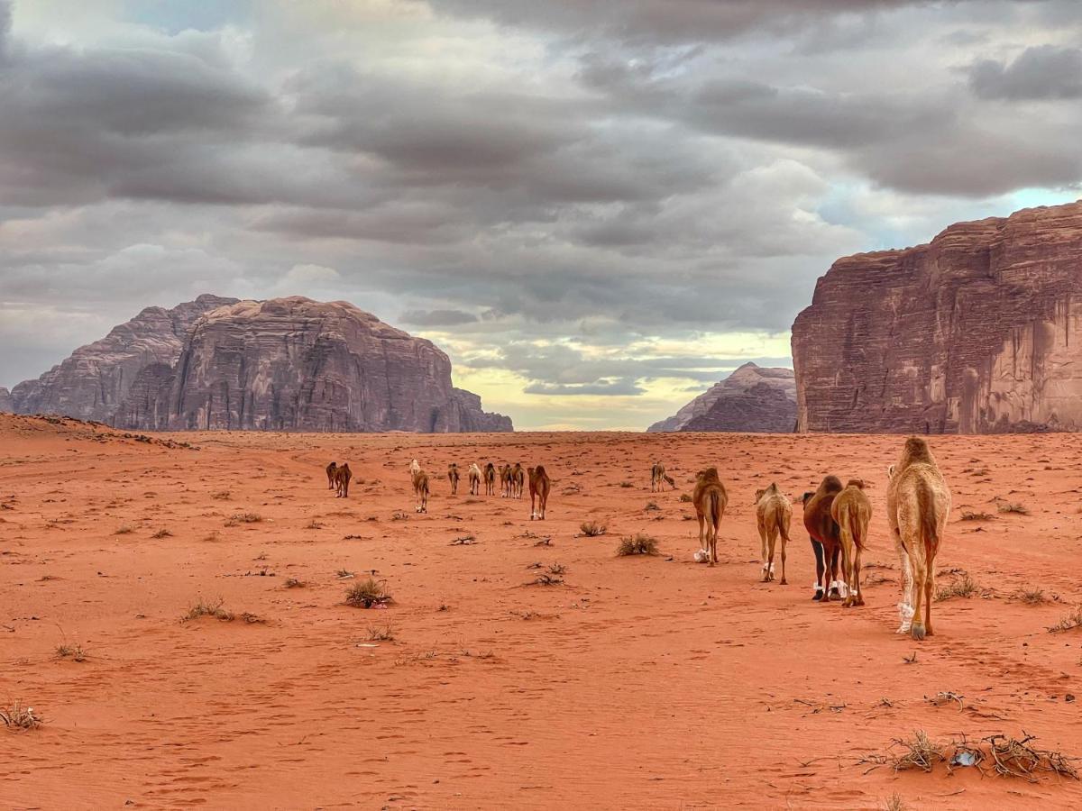 Wadi Rum Bedouin Tour With A Camp Exterior foto