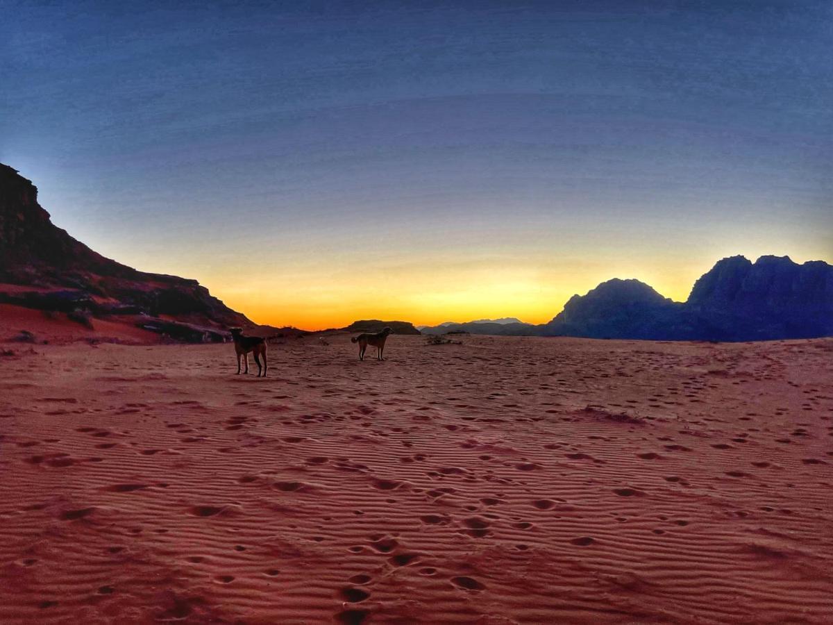 Wadi Rum Bedouin Tour With A Camp Exterior foto
