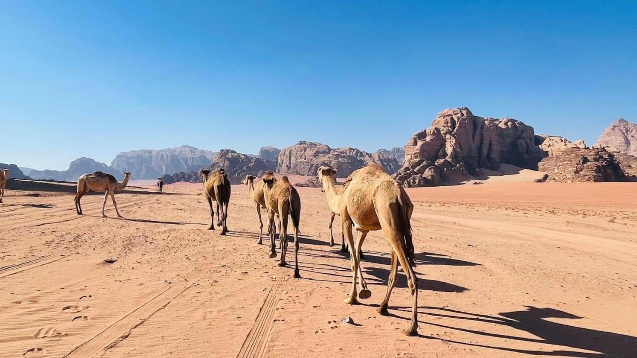 Wadi Rum Bedouin Tour With A Camp Exterior foto