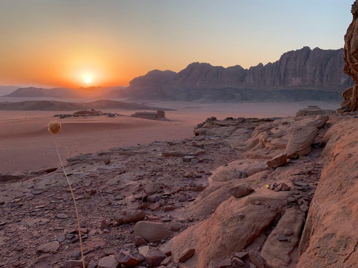 Wadi Rum Bedouin Tour With A Camp Exterior foto